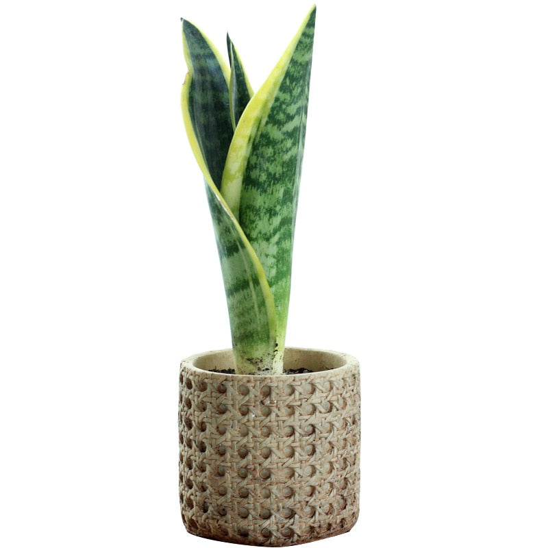 Bamboo Weaving Vase Flowerpot