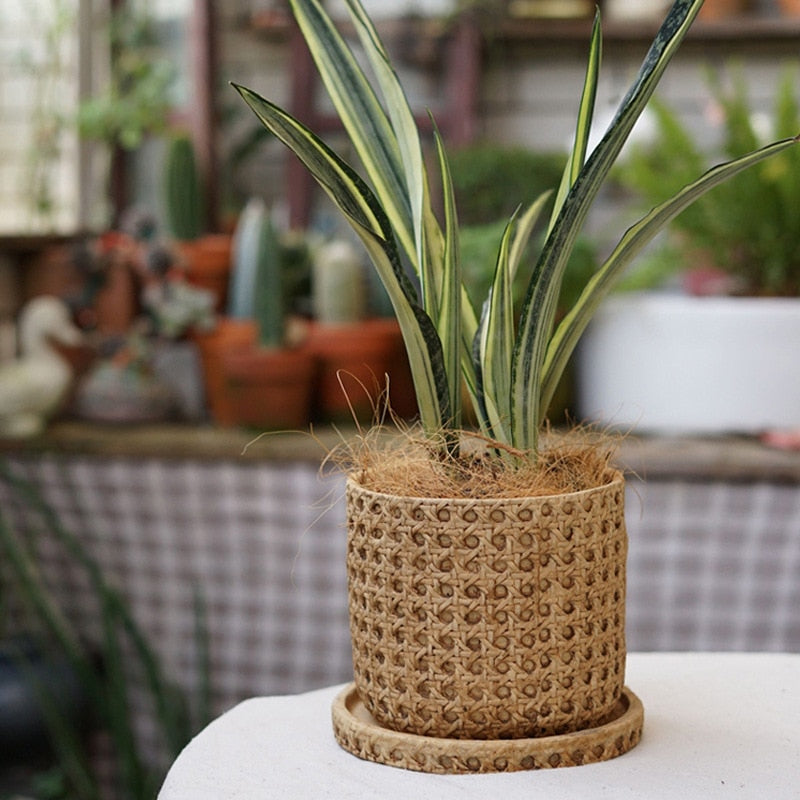 Bamboo Weaving Vase Flowerpot